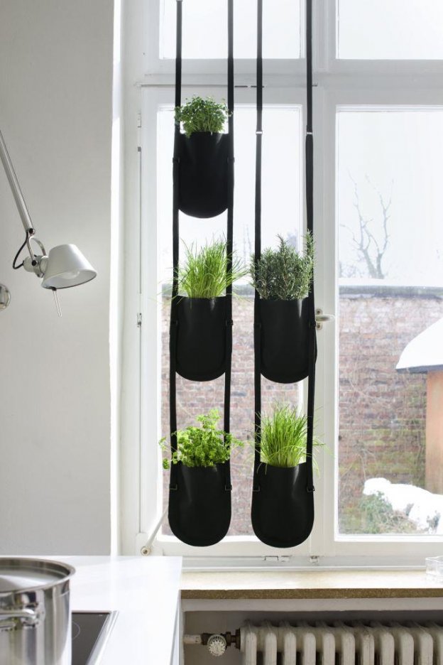 Indoor-Kräutergarten für die Küche - DesignIgel