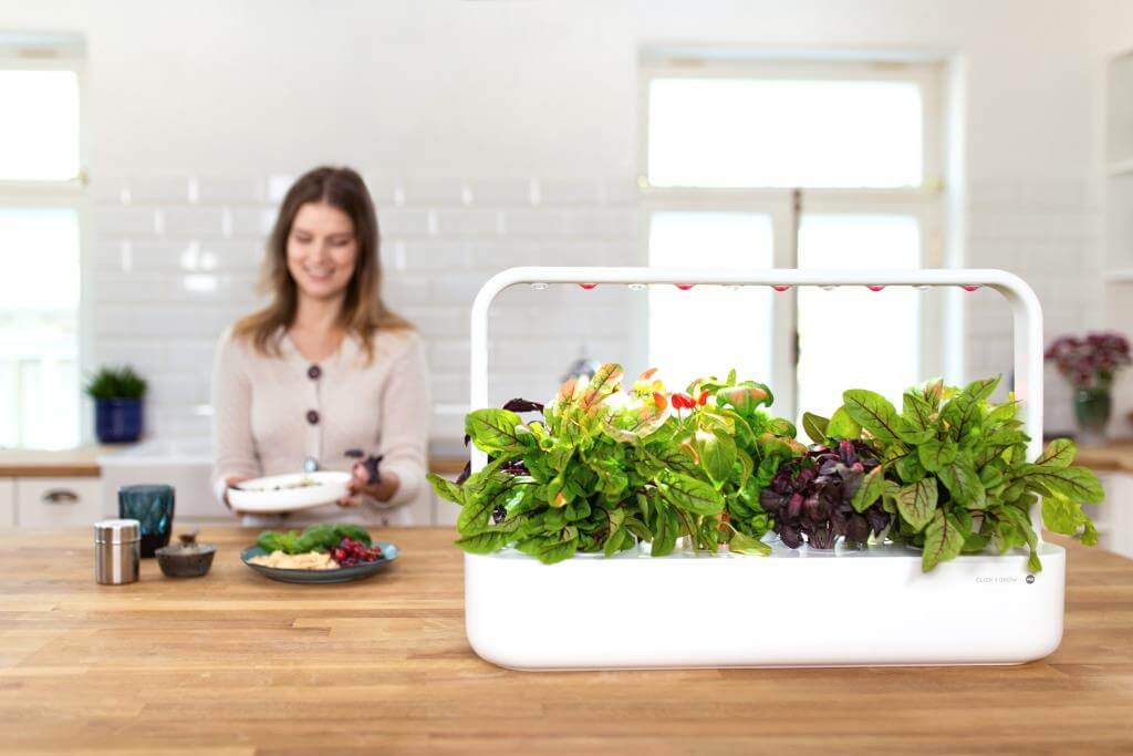 Indoor-Kräutergarten für die Küche - DesignIgel