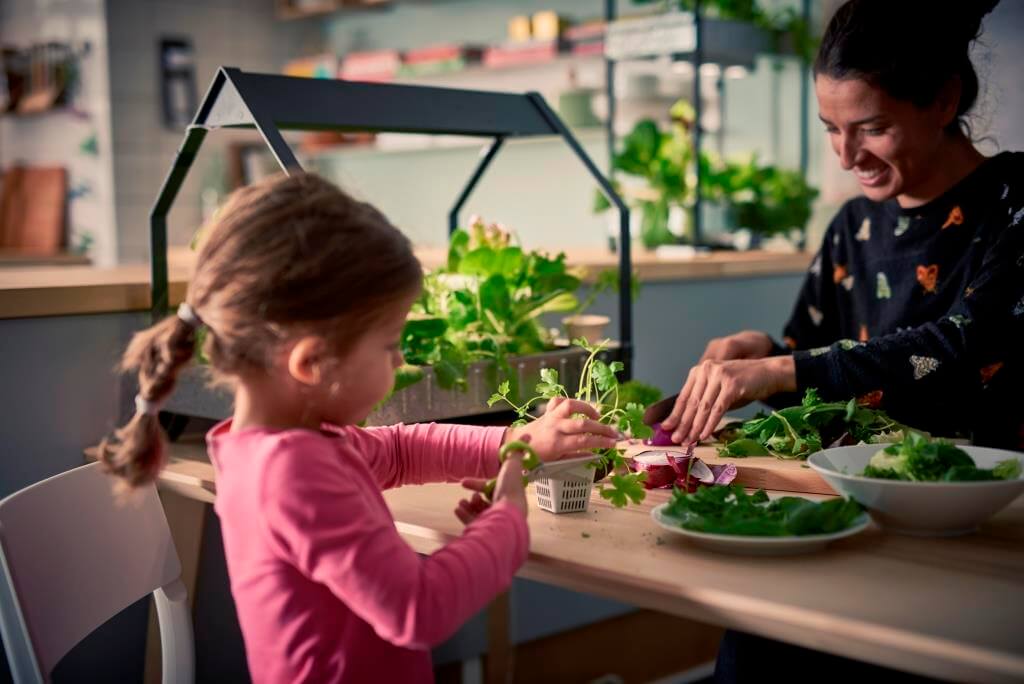 Indoor-Kräutergarten für die Küche - DesignIgel