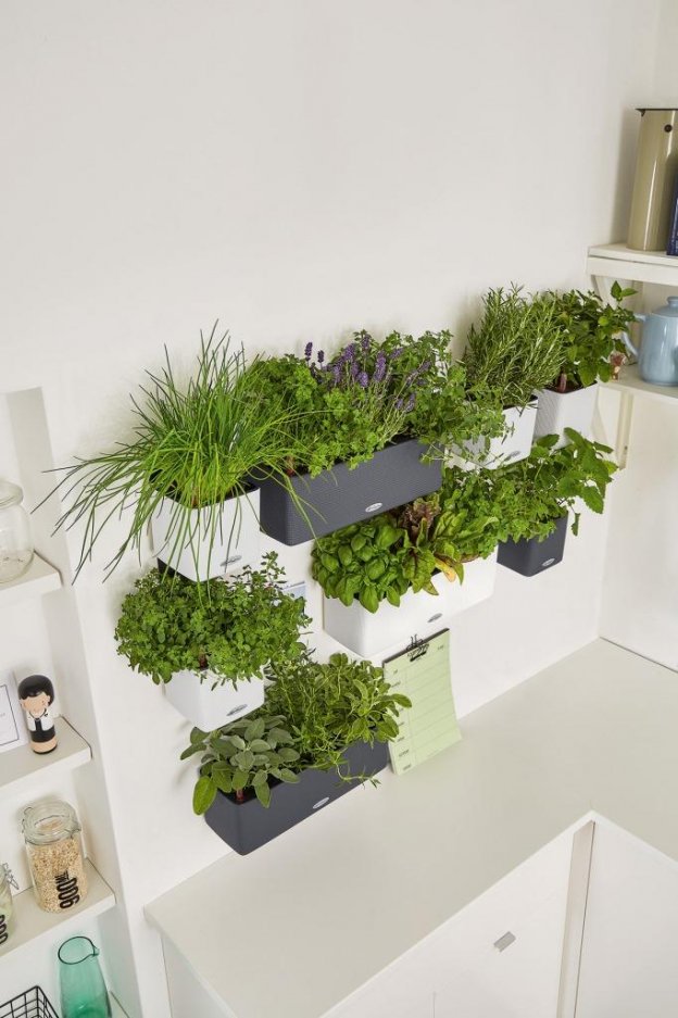 Indoor-Kräutergarten für die Küche - DesignIgel