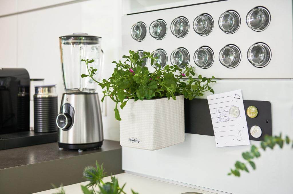 Indoor-Kräutergarten für die Küche - DesignIgel