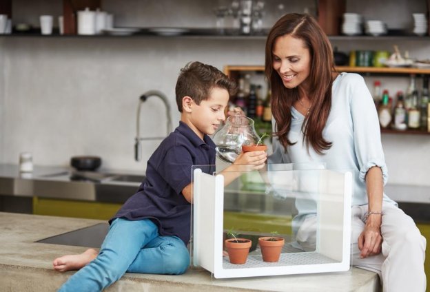 Indoor-Kräutergarten für die Küche - DesignIgel