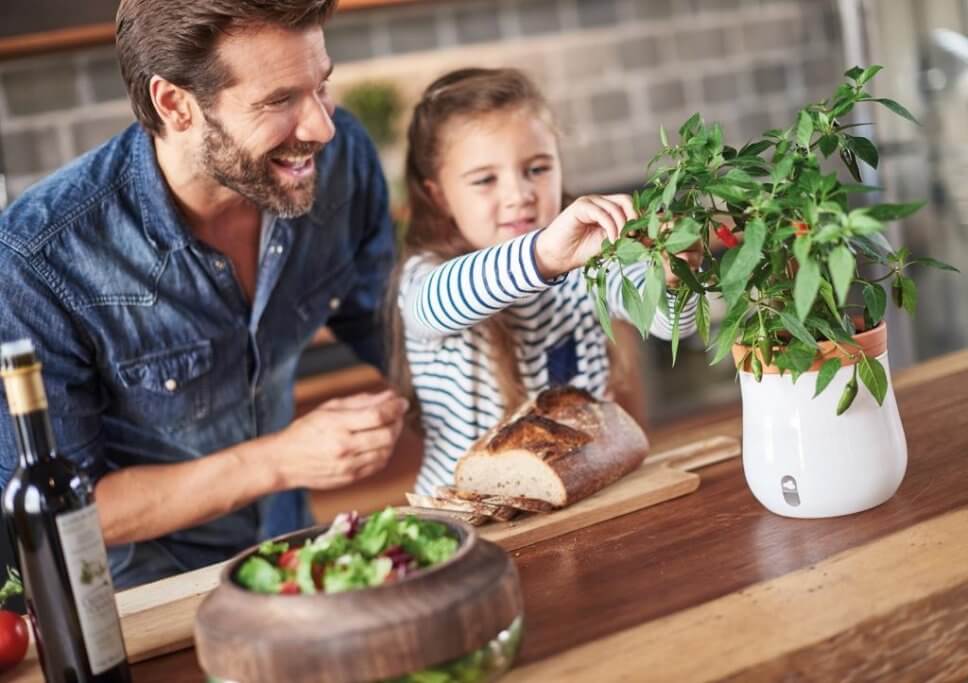 Indoor-Kräutergarten für die Küche | DesignIgel