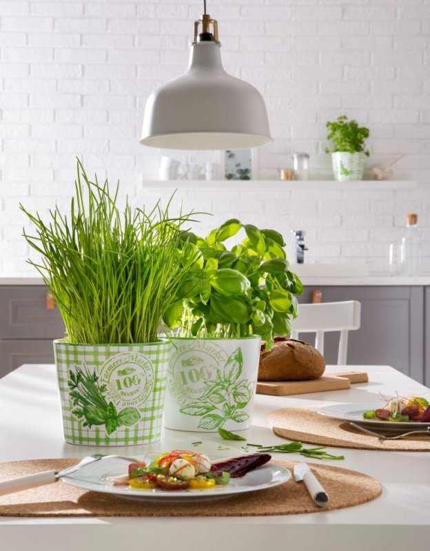 Indoor-Kräutergarten für die Küche - DesignIgel