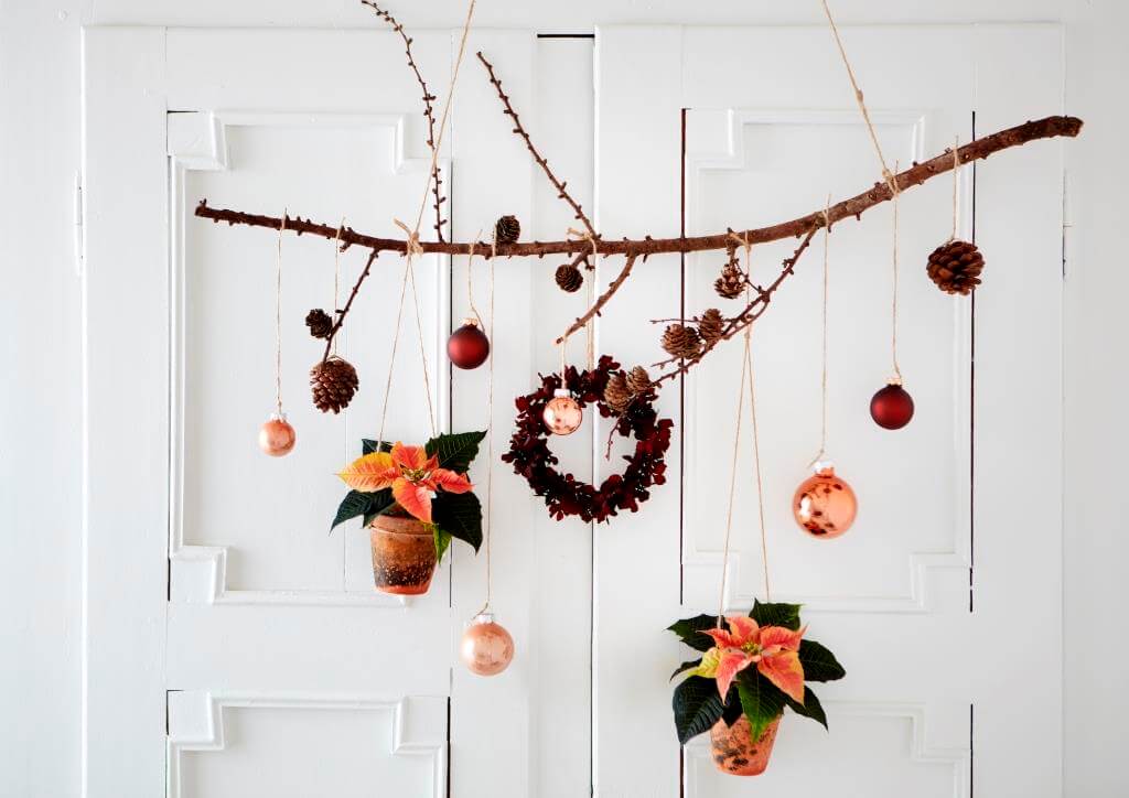 DIY zum Advent: Frische Deko-Ideen fr den Weihnachtsstern | DesignIgel