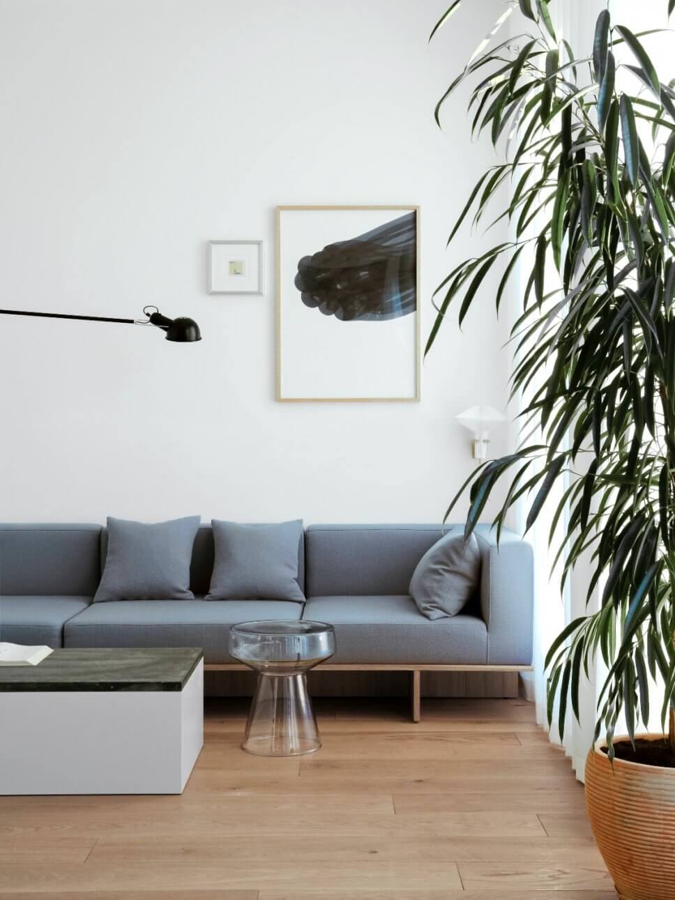 Modernes Wohnzimmer mit Sofa, Coffeetable und Zimmerpflanze