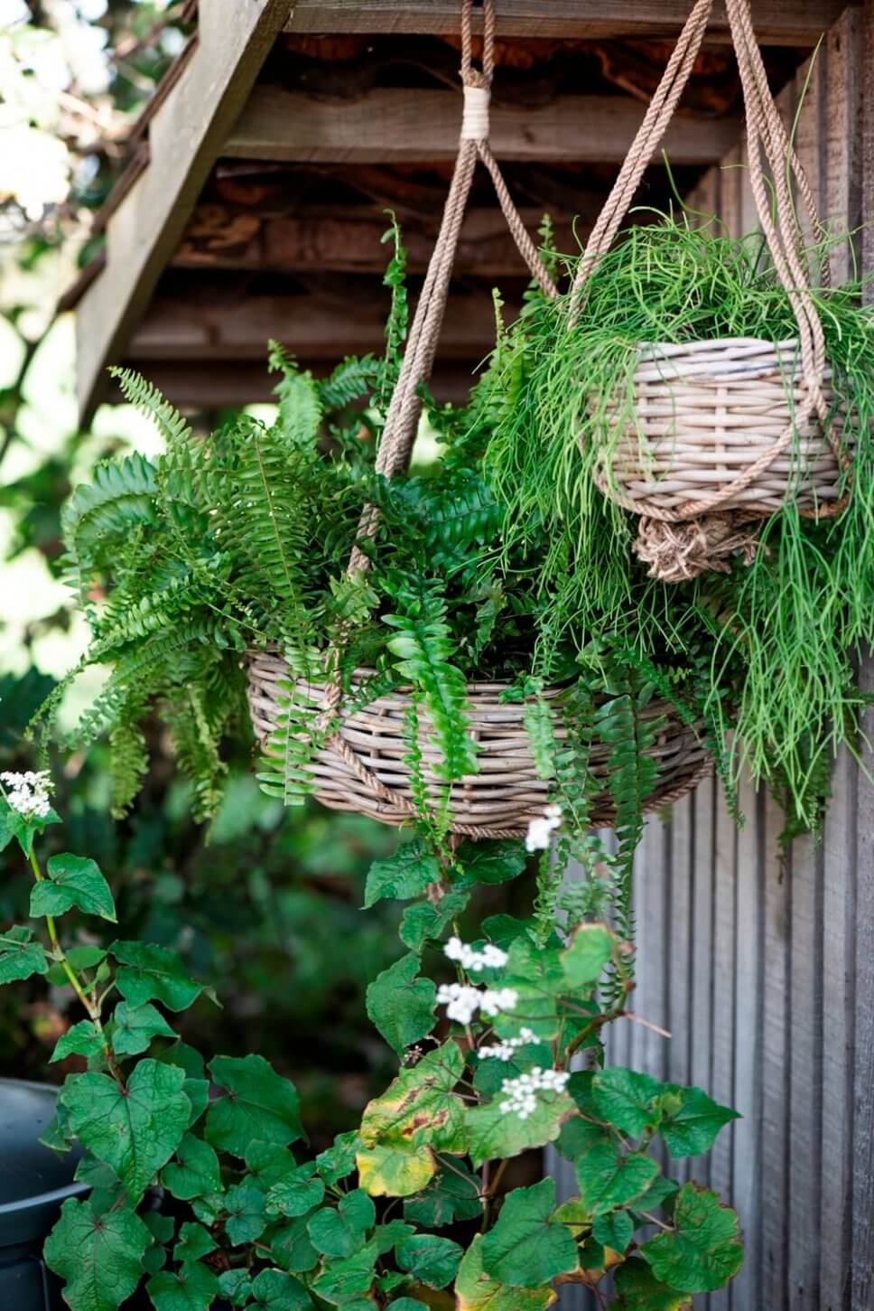 Bepflanzte Blumenampeln in Körben vor schwarzer Holzwand