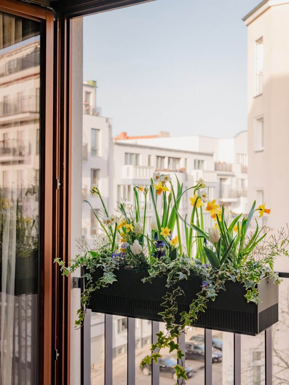 Üppig mit bunten Blumen bepflanzter Balkonkasten auf Balkon