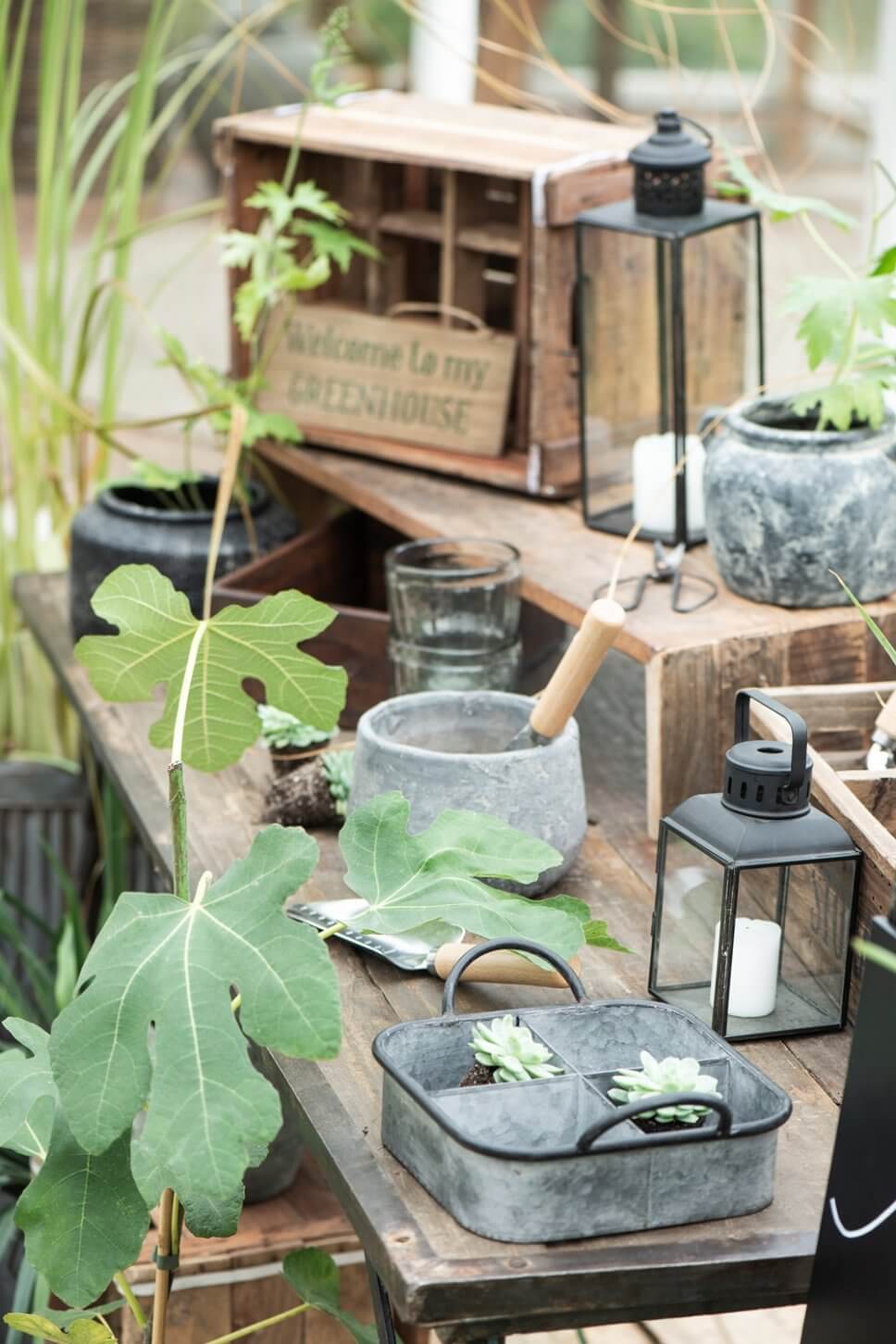 Blumentöpfe und Gartenwerkzeug auf Holztisch