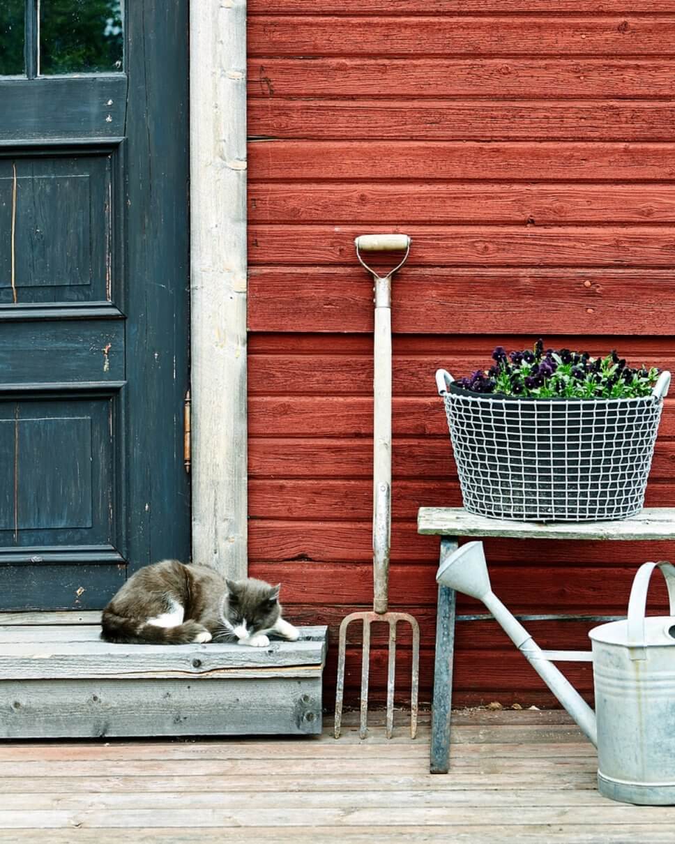 Bepflanzter Korb auf Bank, Gießkanne und Grabegabel stehen neben einem Hauseingang mit Katze
