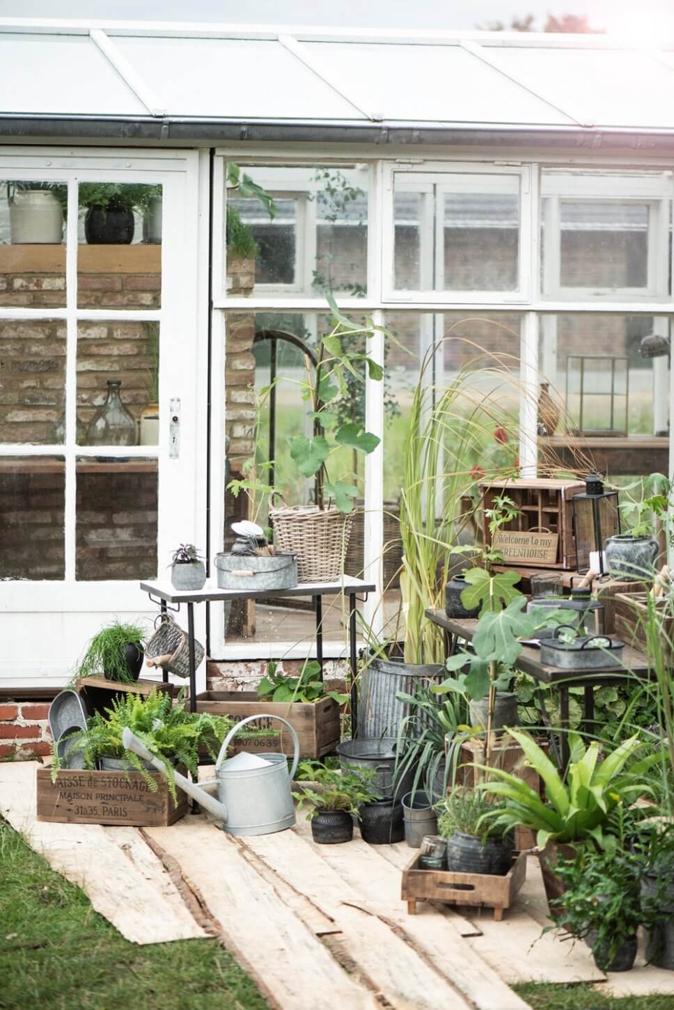 Üppig mit Kübelpflanzen bepflanzte Terrasse vor Gewächshaus