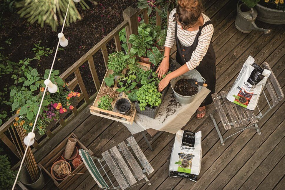 Eine Frau pflanzt auf einem üppig mit Kübelpflanzen und Balkonkasten bepflanzten Balkon