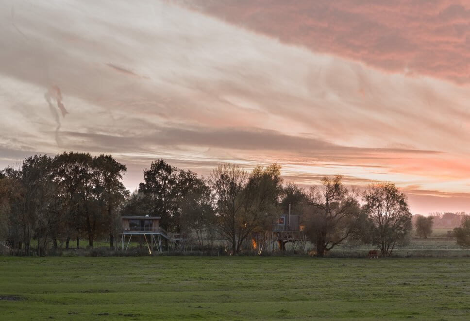 Großes Baumhaus zum Wohnen auf Stelzen an einer Lichtung