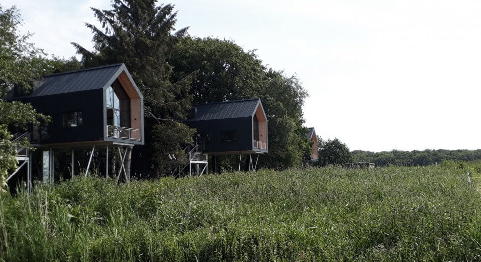 Großes Baumhaus zum Wohnen auf Stelzen an einer Lichtung