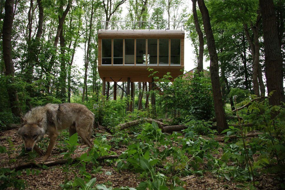 Großes Baumhaus zum Wohnen auf Stelzen im Wald