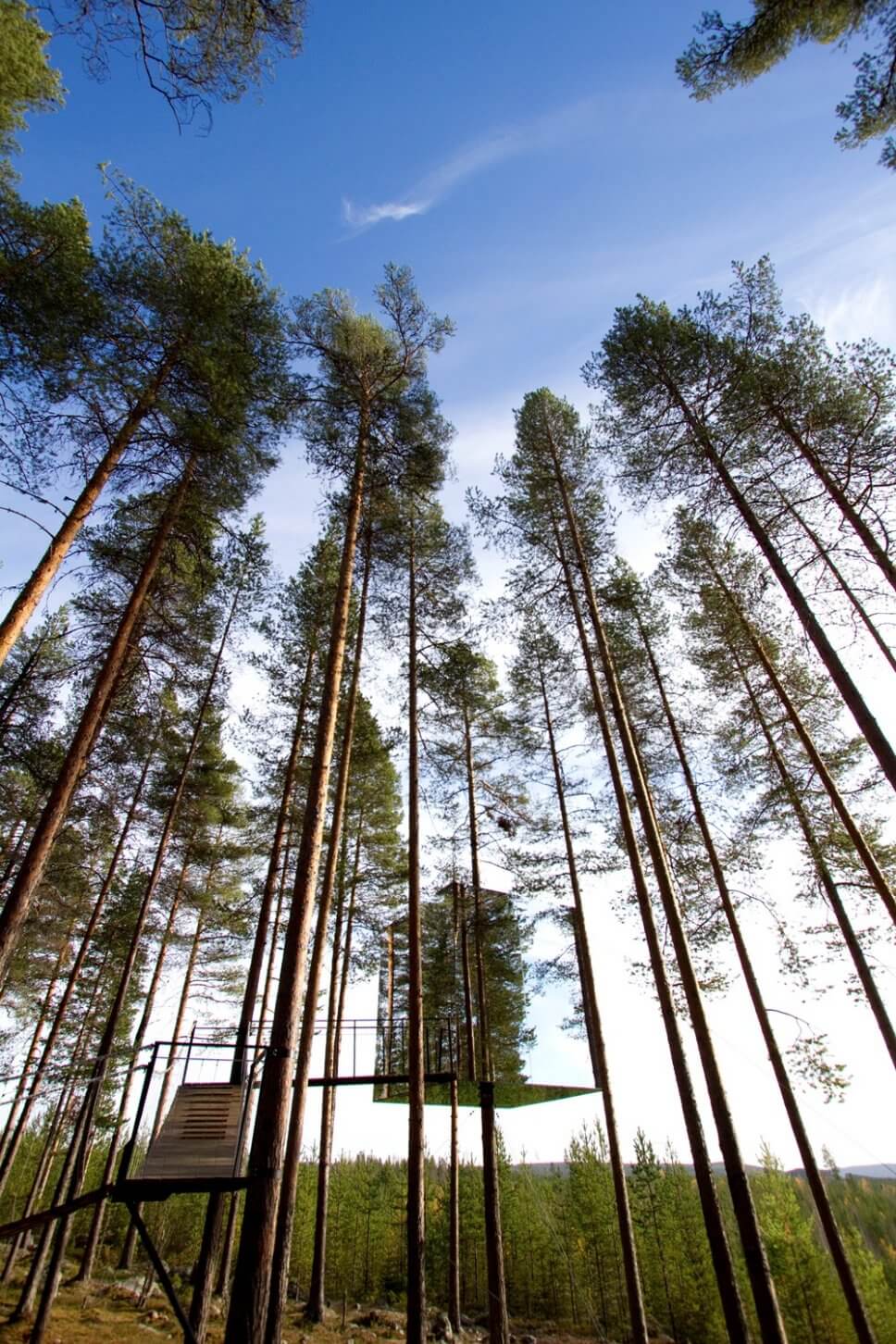 Großes verspiegeltes Baumhaus zum Wohnen im Wald