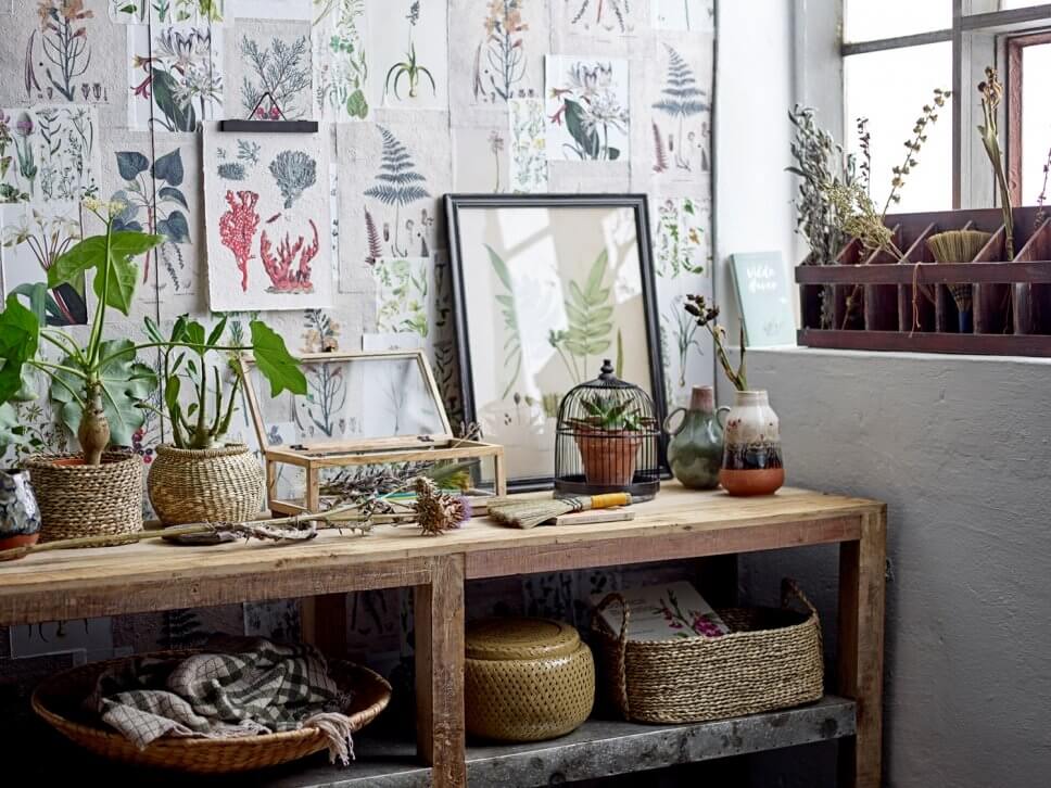 Pflanzen stehen auf massiver Holzkonsole,, die Wand ist mit Drucken von Pflanzen zugepflastert t