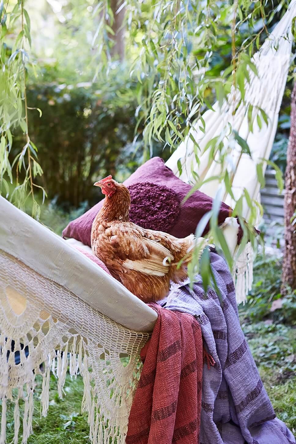 Hängematte mit vielen Kissen und Decken sowie einem Huhn