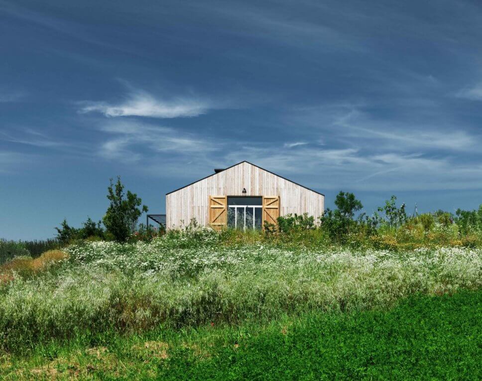 Modernes Holzhaus in sommerlicher Landschaft