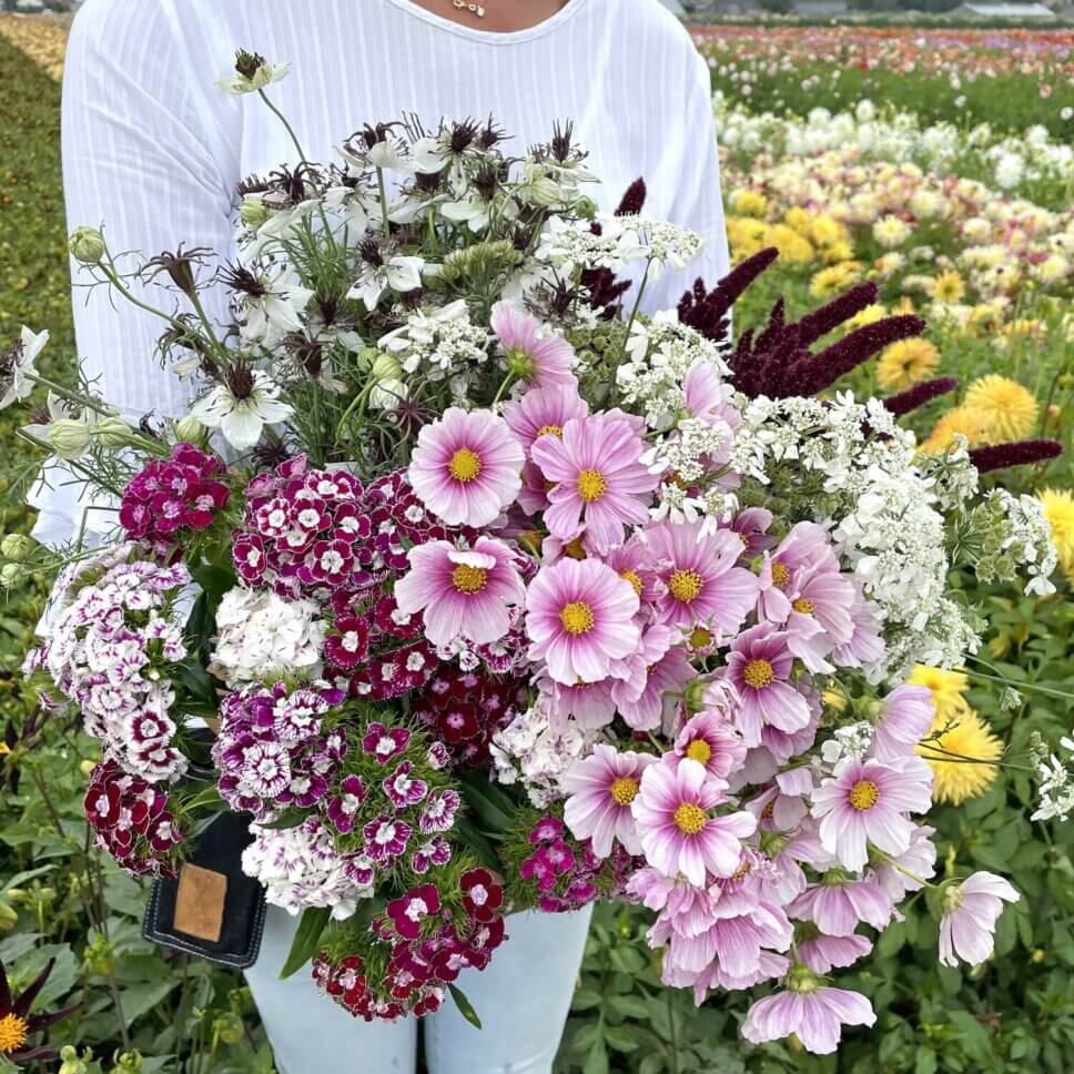 Bunter Blumenstrauß mit Dahlien und Sommerblumen