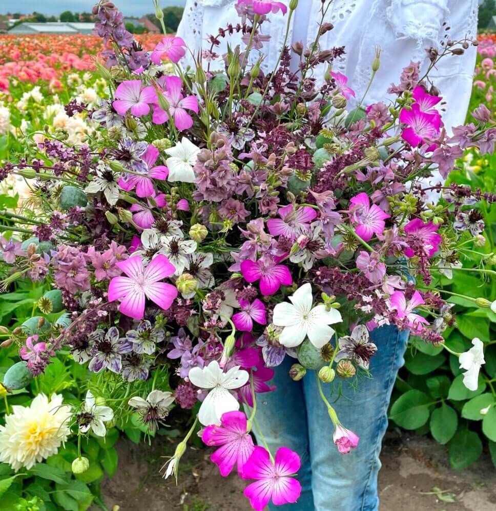 Bunter Blumenstrauß mit Dahlien und Sommerblumen