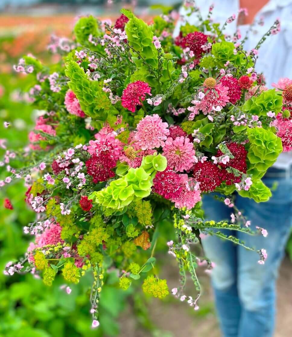 Bunter Blumenstrauß mit Dahlien und Sommerblumen