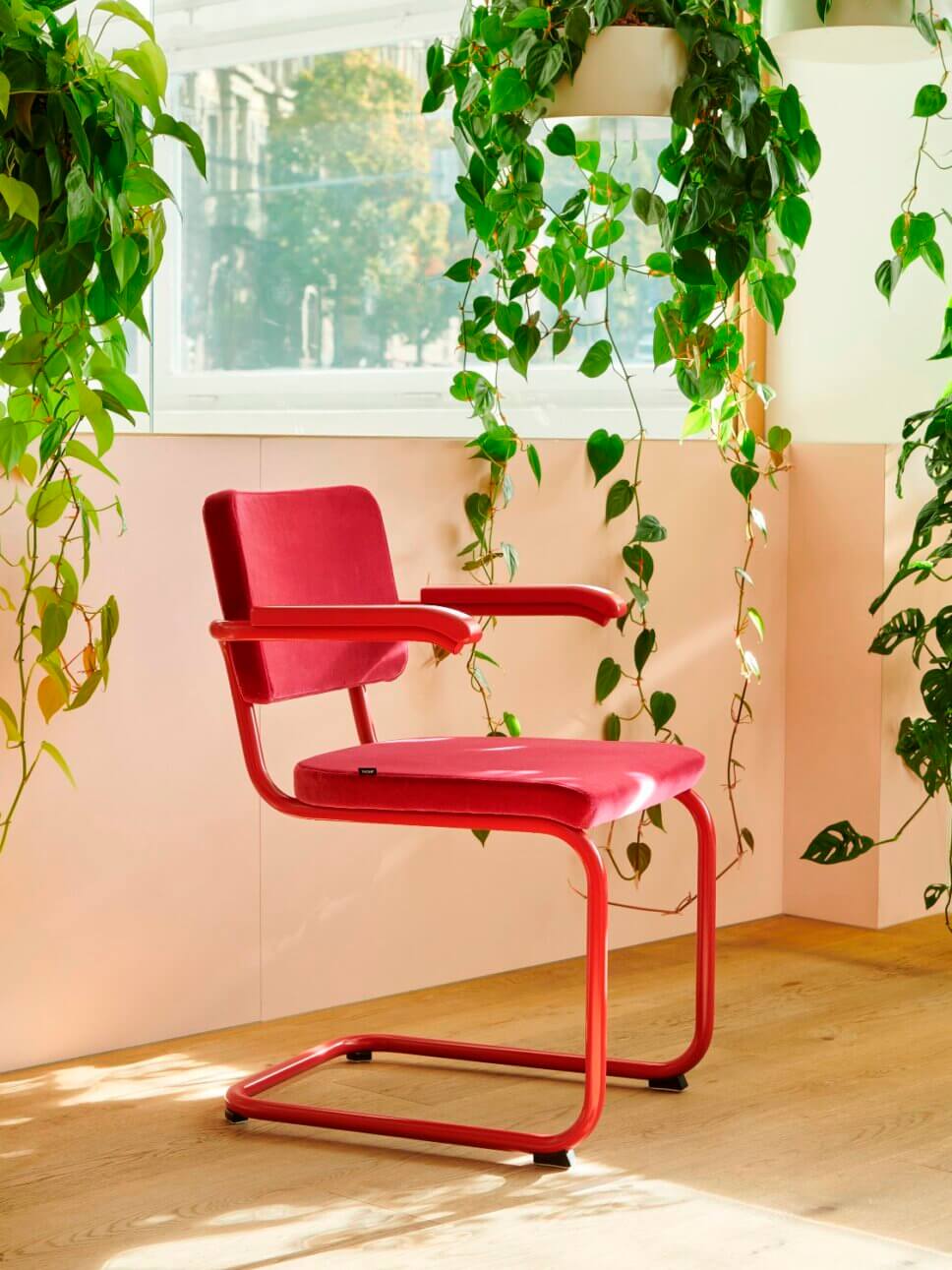 Roter Stuhl in modern eingerichtetem Wohnzimmer