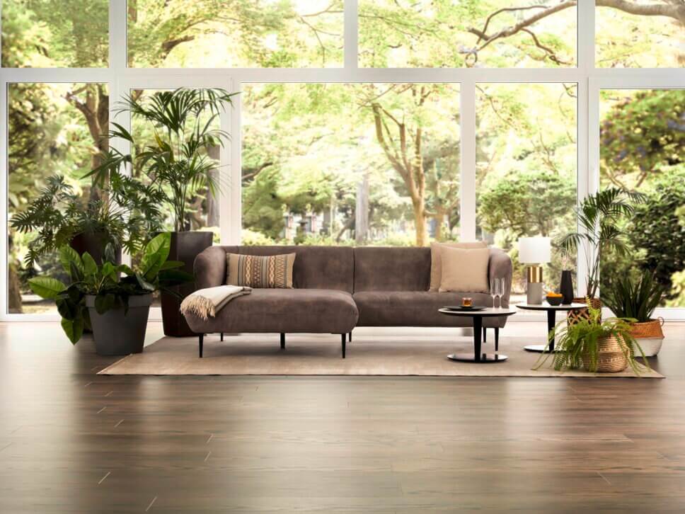 Modern eingerichtetes Wohnzimmer mit Sofa, Zimmerpflanzen und Blick durch raumhohe Fenster in einen Garten