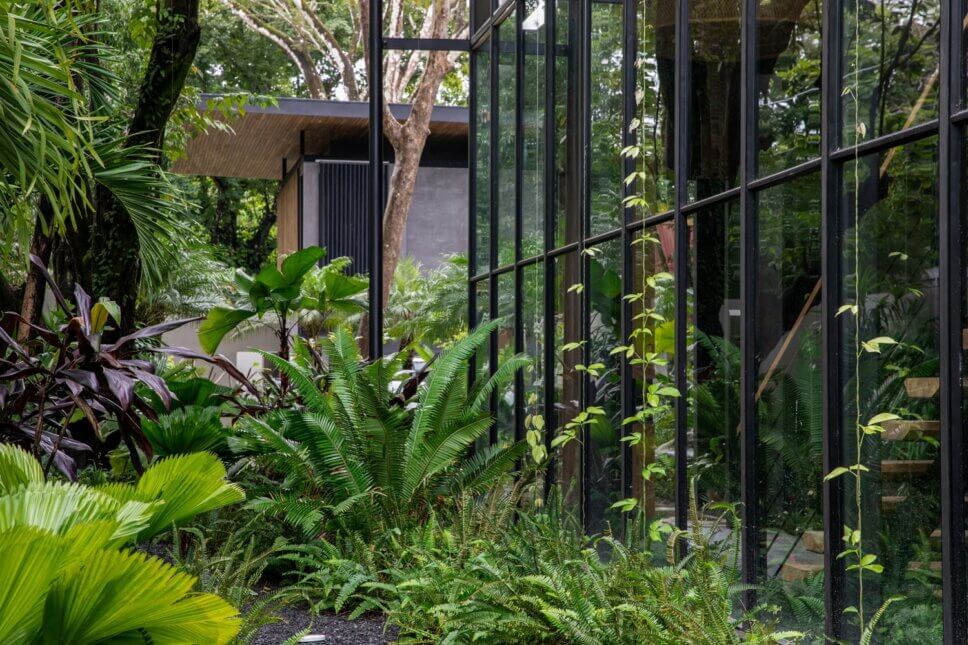 Moderne Architektur aus Holz und Glas im tropischen Regenwald