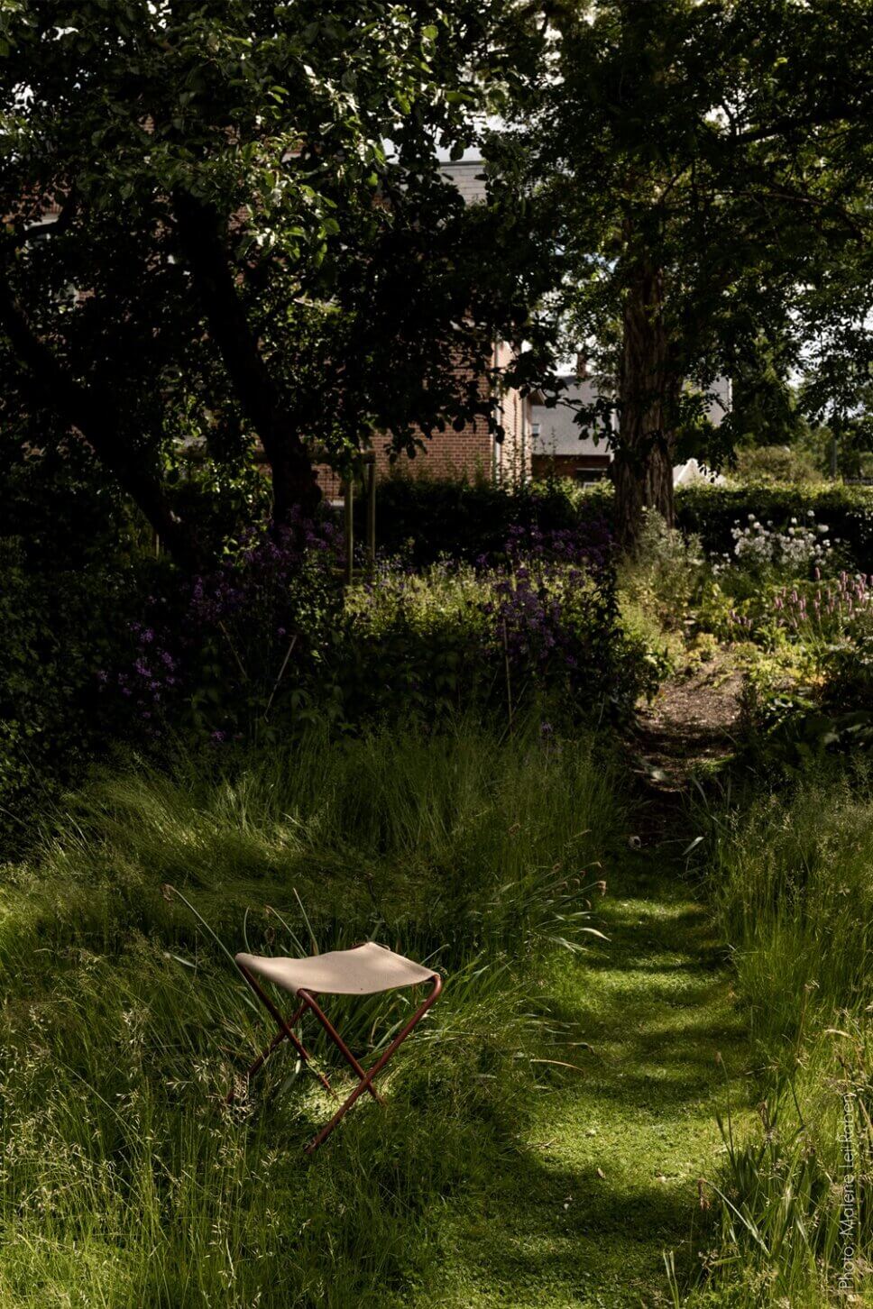 Verwunschener Pfad in Garten