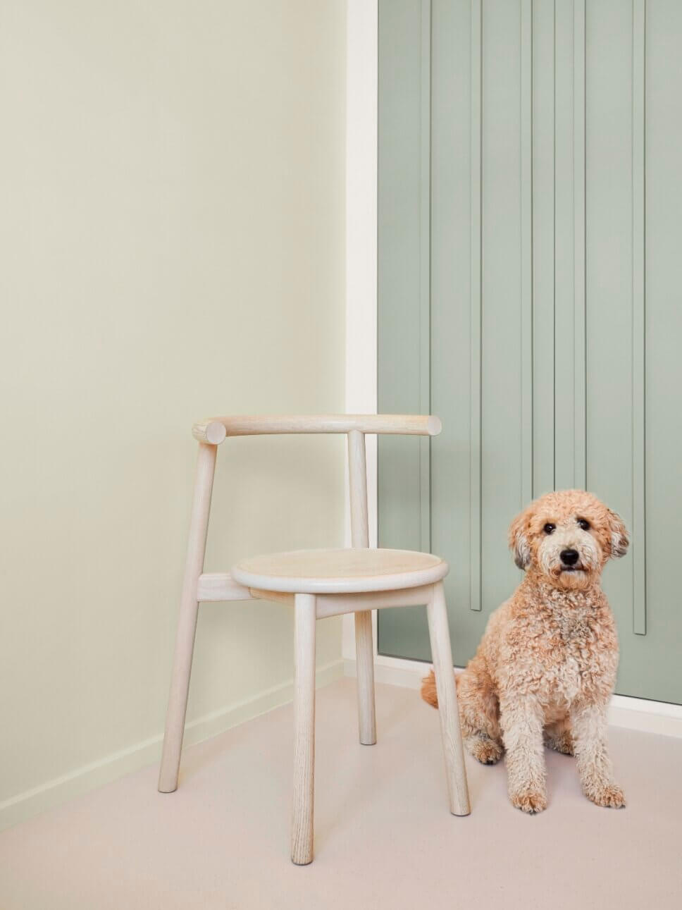 Farbenfroh mit modernen Designermöbeln eingerichteter Flur