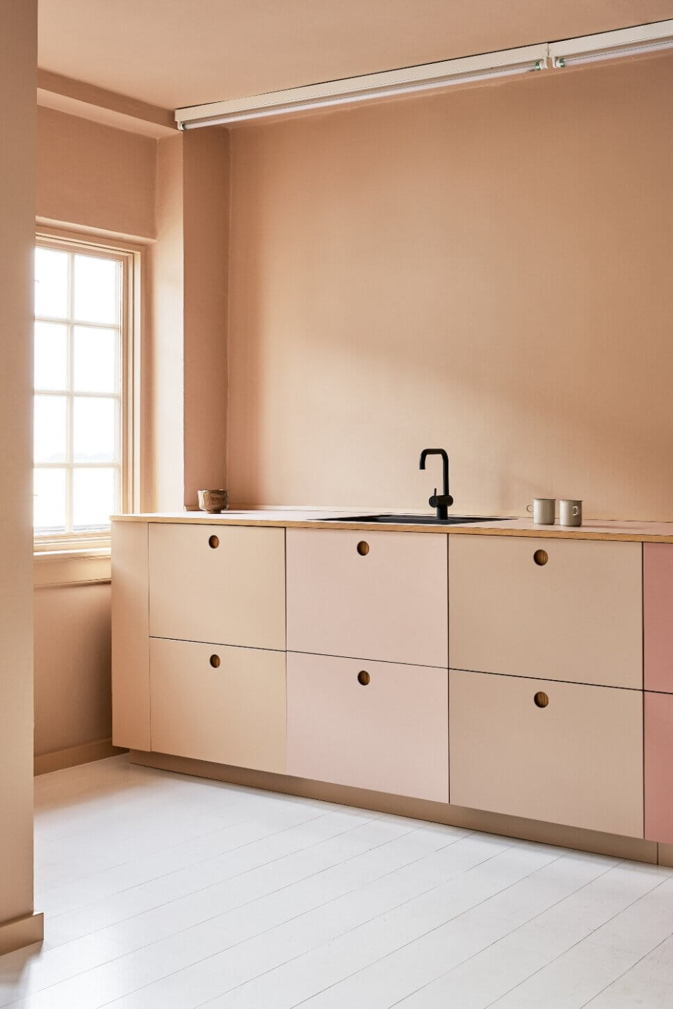 Rosa eingerichtete moderne Küche