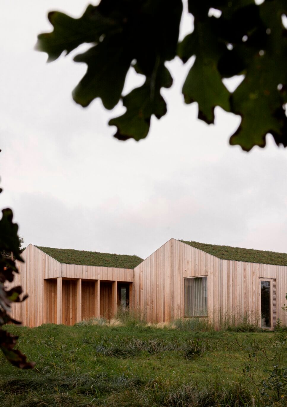 Mit Holz verkleidetes Architektenhaus mit Gründach